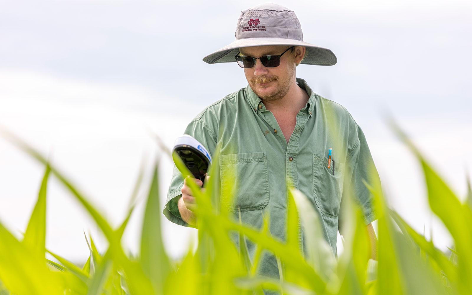 Galloway Focuses on Practical Strategies to Boost Yields and Farm Profitability