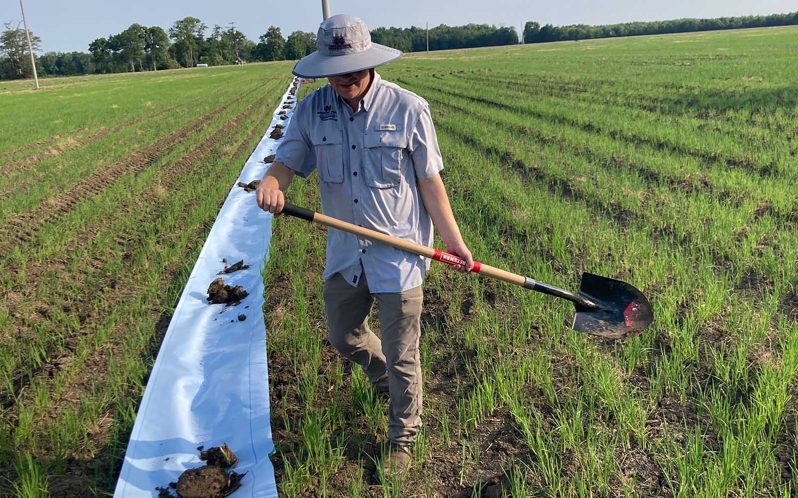 Water-Saving Pumps Boost Rice Production in the Mississippi Delta