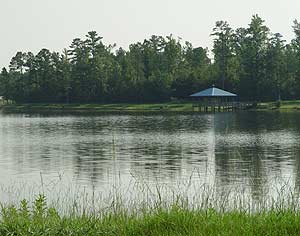 Image of a lake